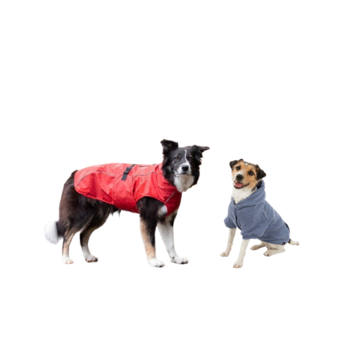 Manteau pour chien